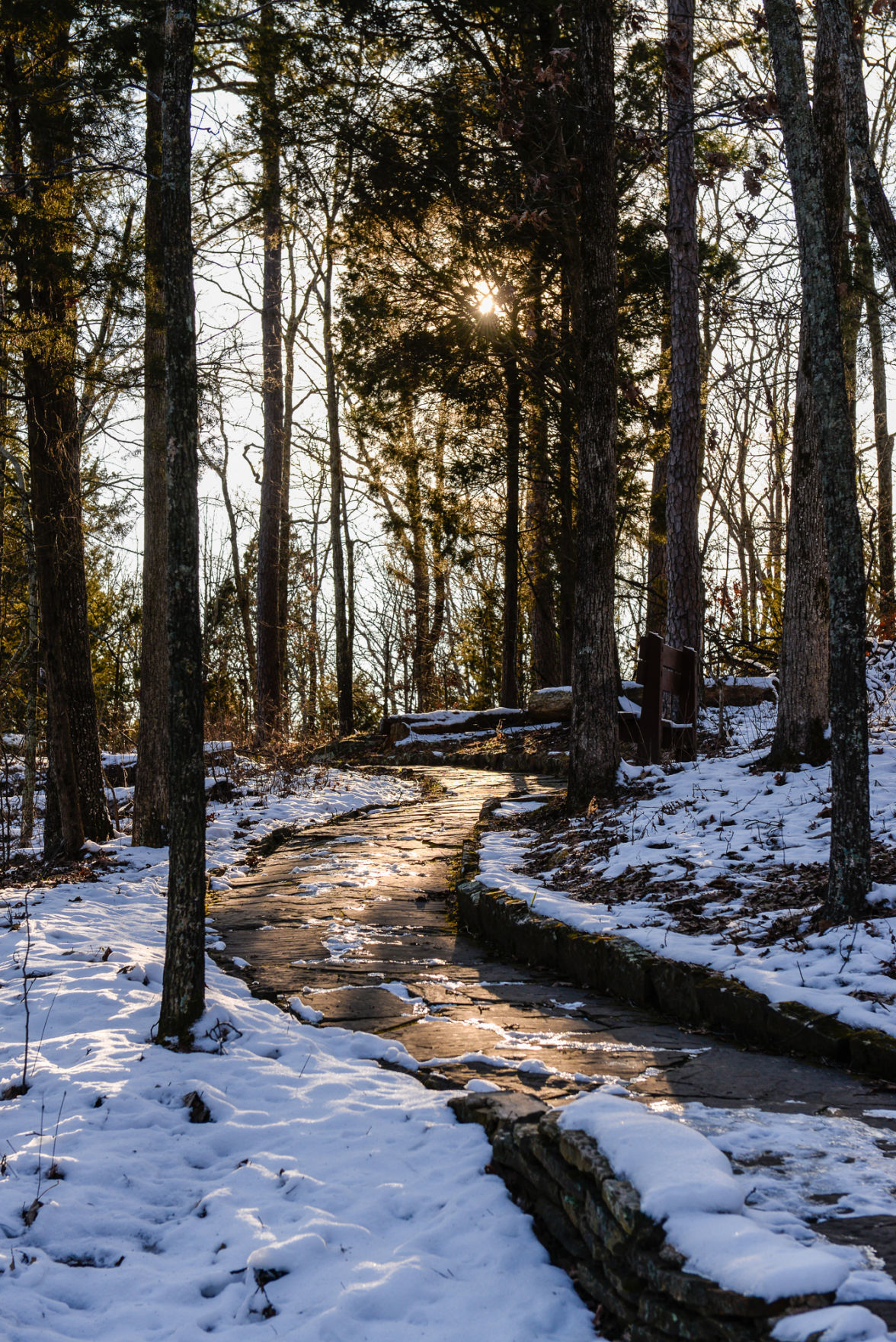 Shawnee National Forest